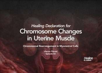 Chromosome changes in uterine muscle (Chromosomal rearrangement in myometrial cells) healing declarations for uterine fibroid targeting myometrial cell genomic instability and abnormal chromosomal structure.