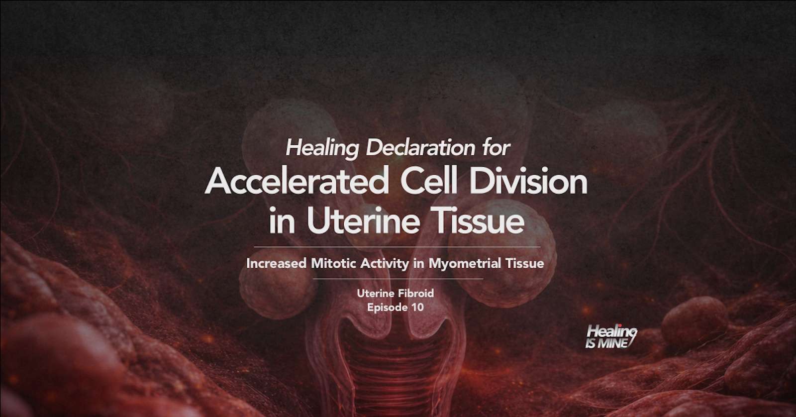 Accelerated cell division in uterine tissue (Increased mitotic activity in myometrial tissue) in uterine fibroid illustration