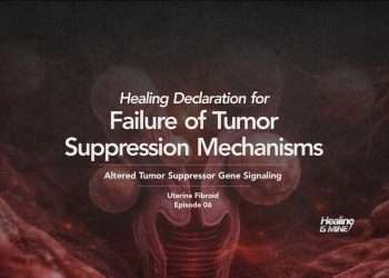 Failure of tumor suppression mechanisms (Altered tumor suppressor gene signaling) healing declaration for uterine fibroid, episode 06 visual showing uterine smooth muscle tissue.