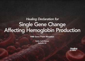 Illustration of red blood cells in a blood vessel with the title “HBB Gene Point Mutation (Single Gene Change Affecting Hemoglobin Production).”