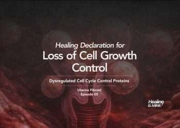 Loss of cell growth control (Dysregulated cell cycle control proteins) healing declaration for uterine fibroid, episode 05 visual showing uterine smooth muscle tissue