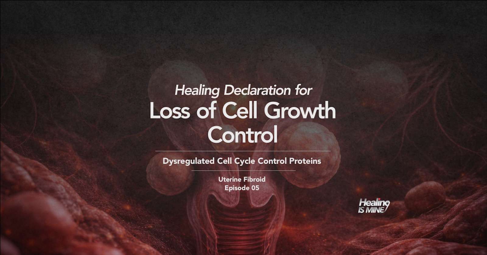 Loss of cell growth control (Dysregulated cell cycle control proteins) healing declaration for uterine fibroid, episode 05 visual showing uterine smooth muscle tissue