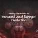 Multiple uterine fibroid nodules within uterine wall illustrating increased local estrogen production (increased local aromatase activity) and excess estrogen production