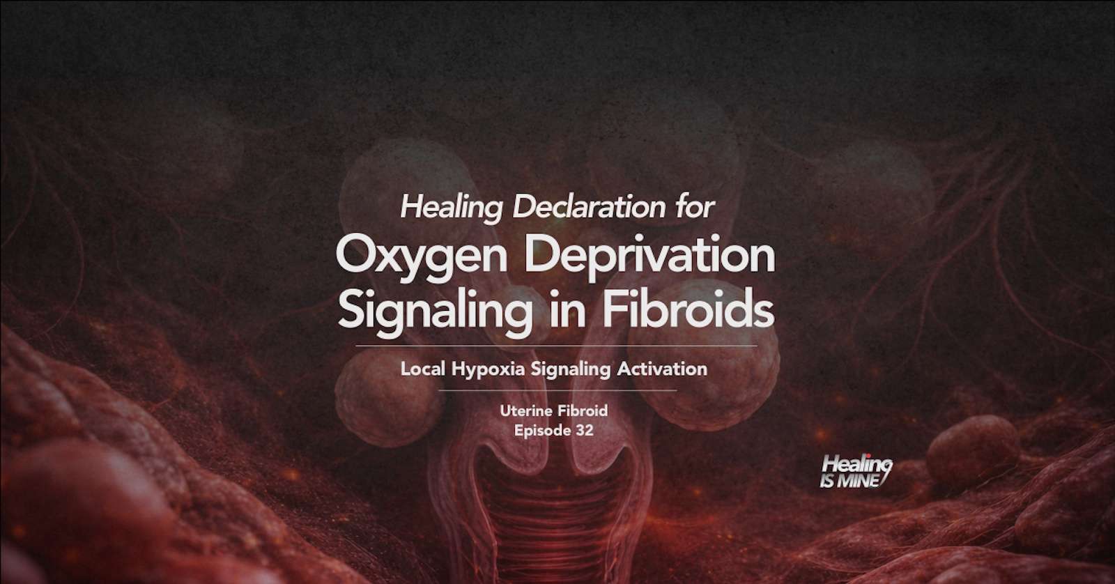 Uterine fibroid masses within uterine muscle representing oxygen deprivation signaling in fibroids (local hypoxia signaling activation) and oxygen-deprivation response