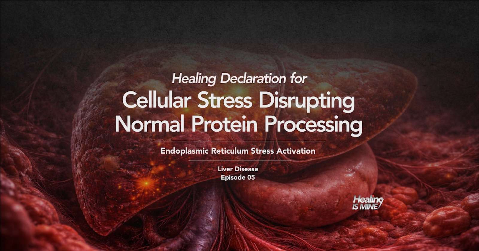 Illustration of a human liver with the title “Cellular Stress Disrupting Normal Protein Processing (Endoplasmic Reticulum Stress Activation) – Liver Disease Episode 05.”