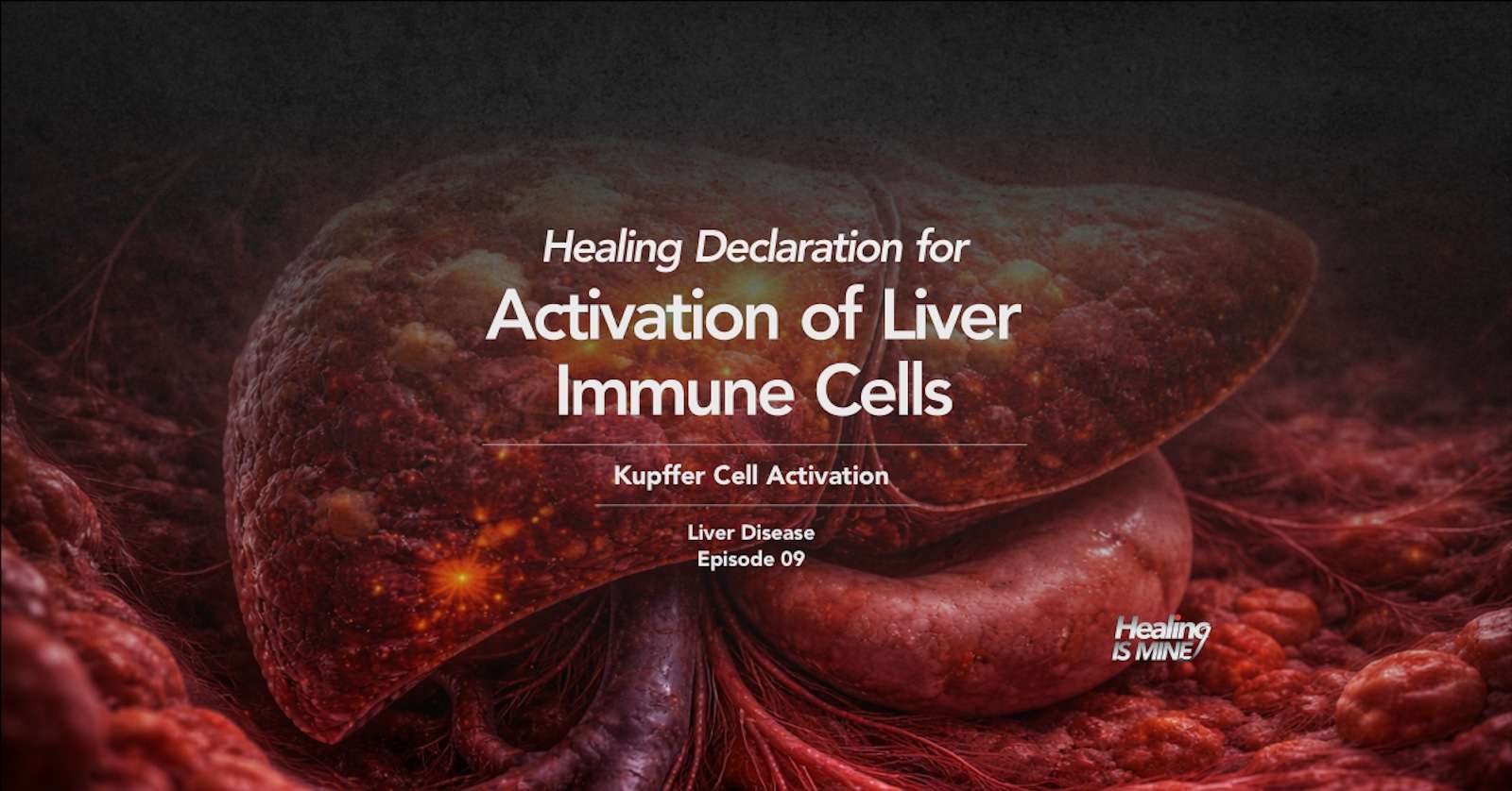Illustration of liver tissue and immune cell activity with the title “Activation of Liver Immune Cells (Kupffer Cell Activation) – Liver Disease Episode 09.”